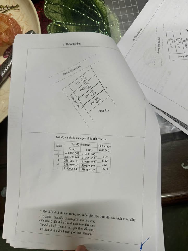 Đất nền đẹp tại ngõ 199 Đoan Tĩnh, Hải Yên, 100m² chỉ 1.1 tỷ - Đầu tư ngay!