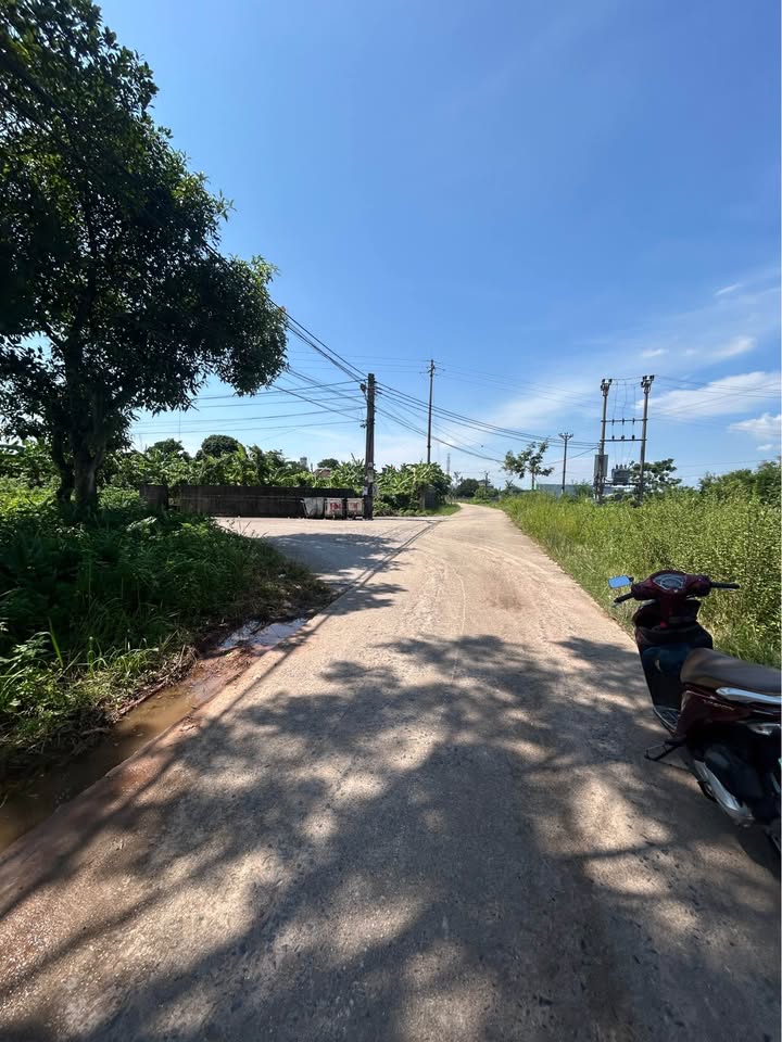 Đất nền Xóm Đông Triều, Hải Yên, 120m² giá 1.6 tỷ - Khu dân cư đông đúc!