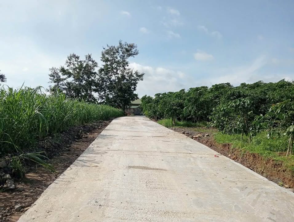 Đất Farm Phường 3 Bảo Lộc 7000m² giá 3.5 tỷ - View đẹp, đường bê tông tận nơi!