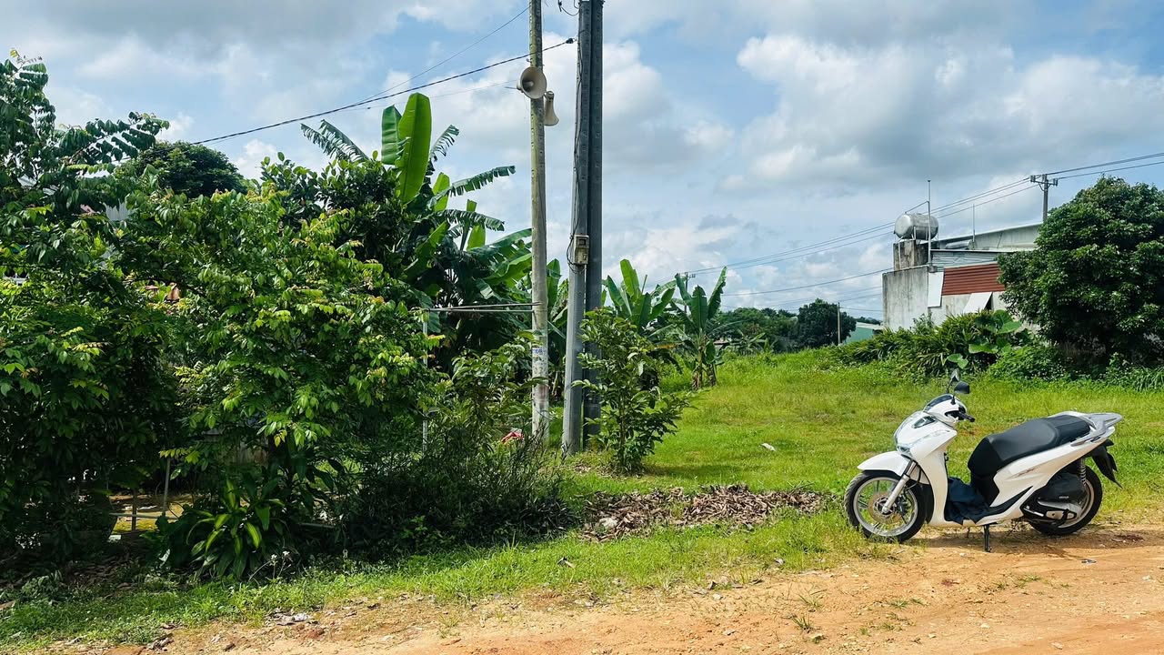 Đất thổ cư đẹp tại đường Sư Vạn Hạnh, Đăk Hà 198m² giá 800 triệu - Cơ hội đầu tư hấp dẫn!