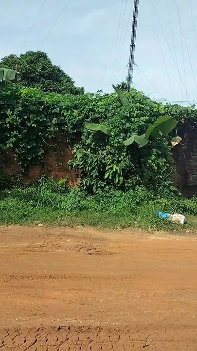 Lô đất chính chủ đường Trương Quang Trọng Đăk Hà 148m² - Giá chỉ 1 tỷ