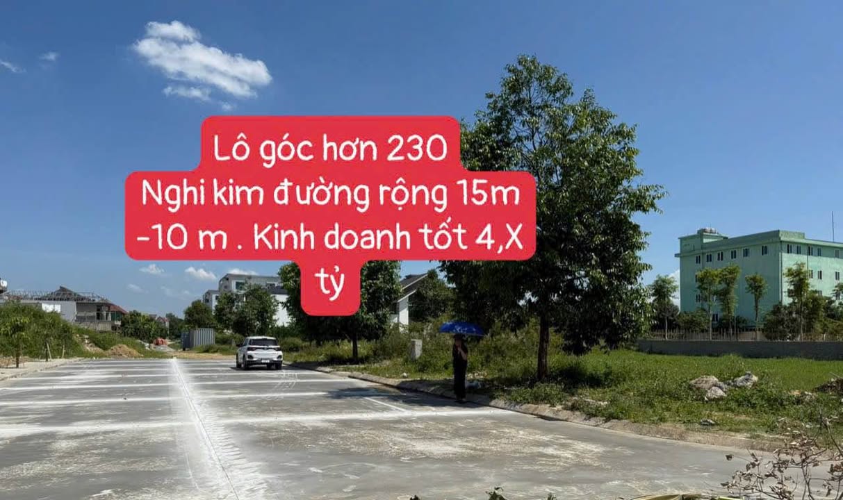 Đất dự án Trường Sơn Vinh Hưng 230m² giá 4 tỷ - Kinh doanh đắc địa!