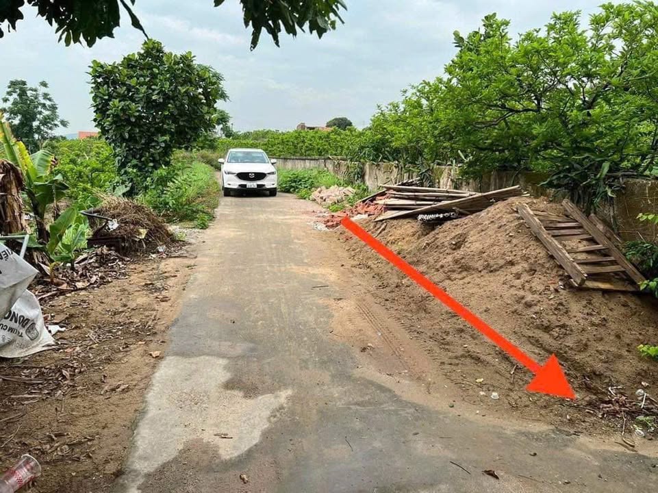 Đất thổ cư 120m² tại thôn Tân Thành, Đông Triều - Giá chỉ 400 triệu