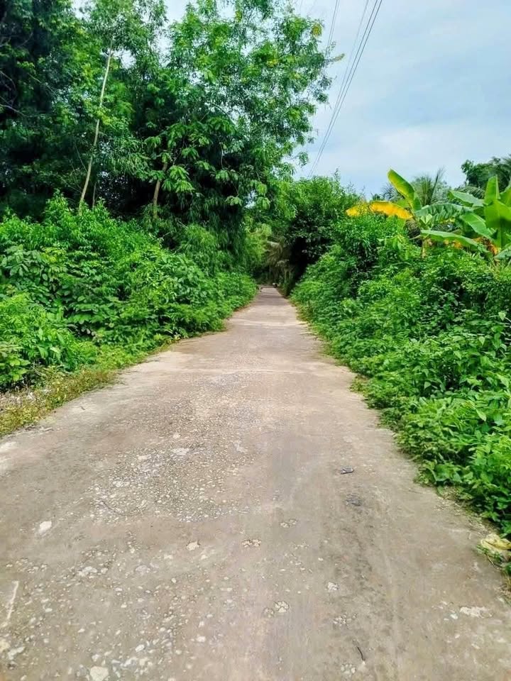 Đất nền 8.271m² tại Mỹ Hòa, Long Xuyên - Tiềm năng đầu tư vượt trội!