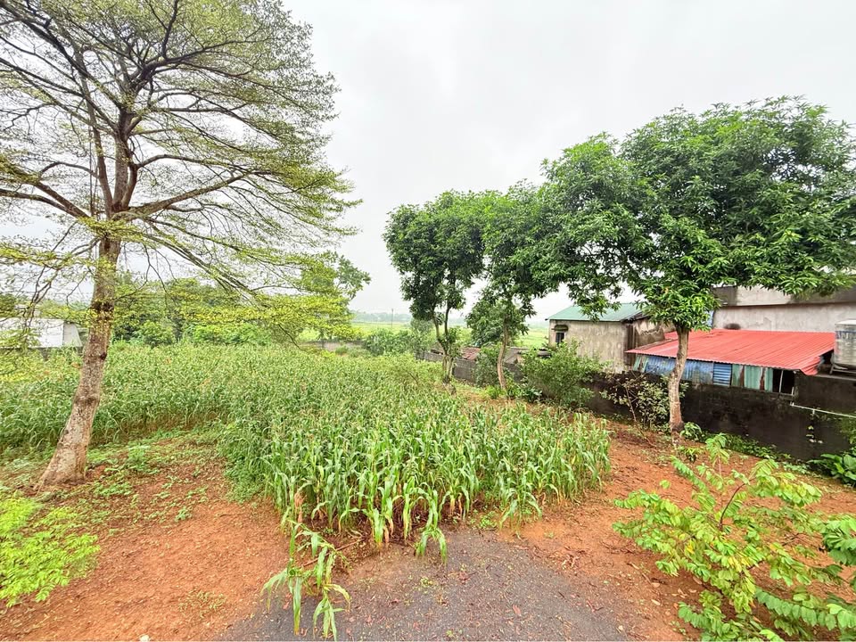 Đất nền Cư Yên, Lương Sơn 2045m² giá 4.09 tỷ - Đầu tư sinh lời tốt!