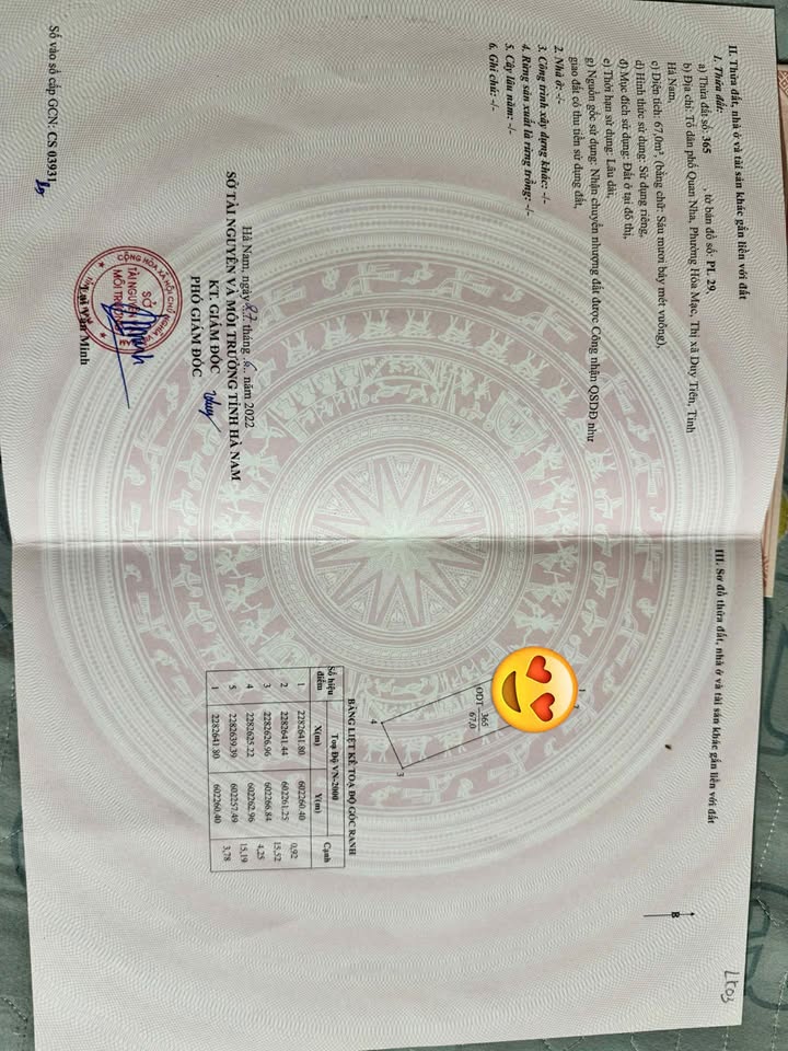 Đất nền Yên Nam Duy Tiên 67m² giá 999 triệu - Lô góc đẹp, đầu tư sinh lời!