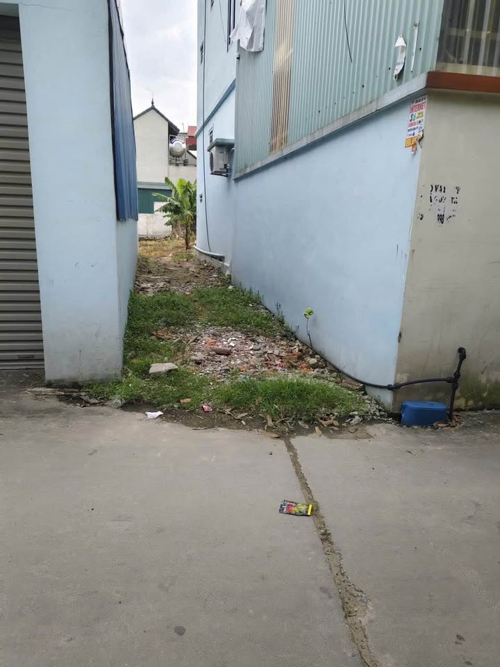 Bán đất thổ cư xã Minh Hải, 53.5m² chỉ 1 tỷ - Đầu tư sinh lời nhanh!