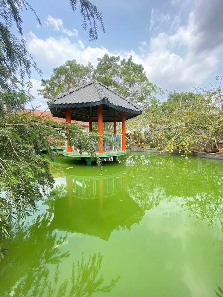 Farm Nghĩa Thành Châu Đức 3100m² giá 13.5 tỷ - Không gian nghỉ dưỡng lý tưởng!