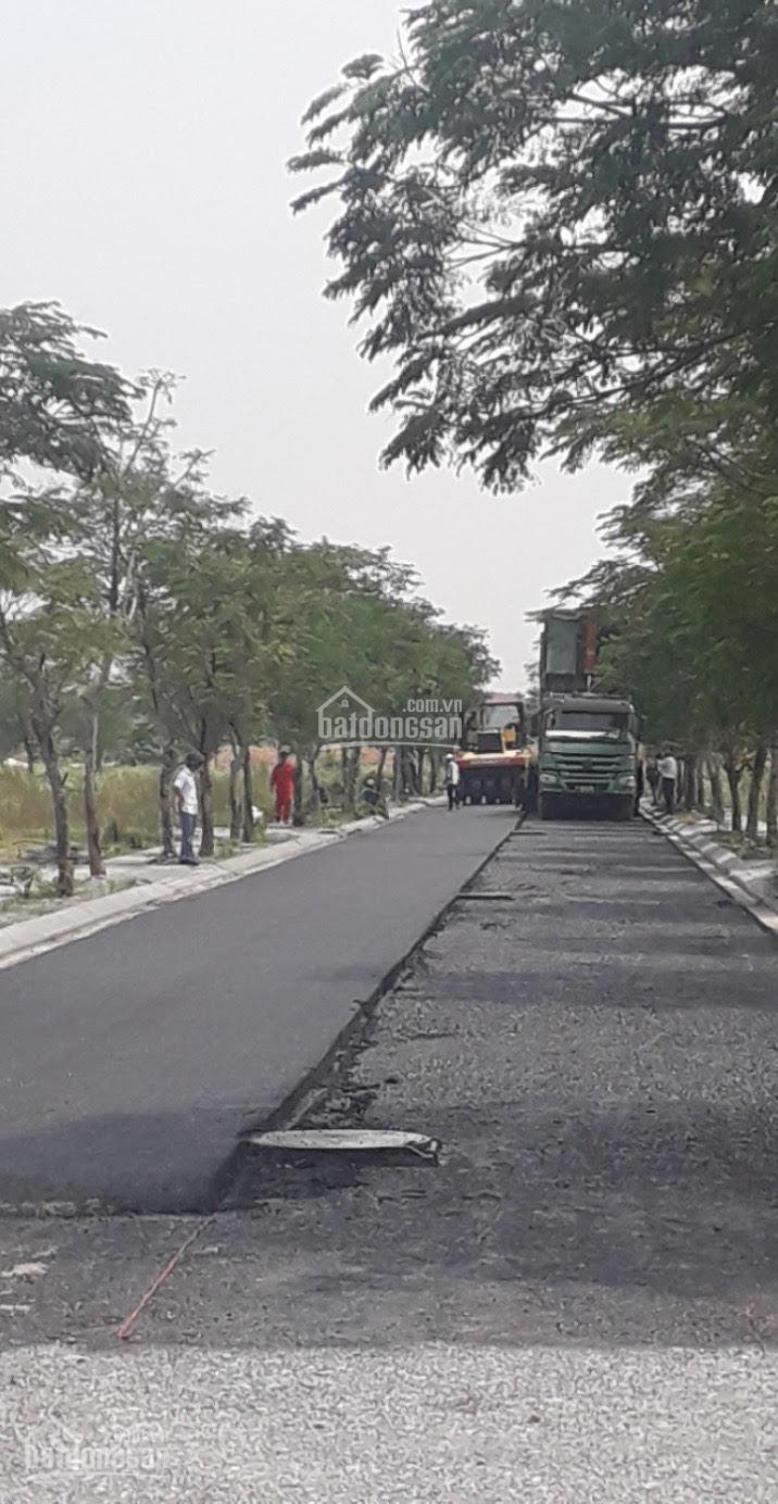 Cần bán đất biệt thự Mê Linh Vista - Tiền Phong, diện tích 262m² - Vị trí đắc địa, giá tốt!