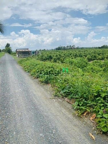 Bán đất vườn Bình Lợi - Bình Chánh 16.000m² giá 32 tỷ - Mặt tiền đường Kênh 4 thuận lợi!