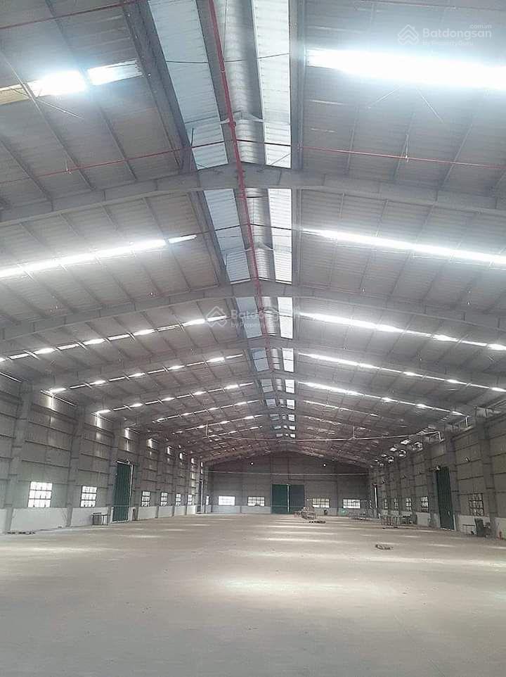 Cho thuê nhà xưởng 1000m² đến 100.000m² tại KCN Bình Định - Giá chỉ từ 25k/m²