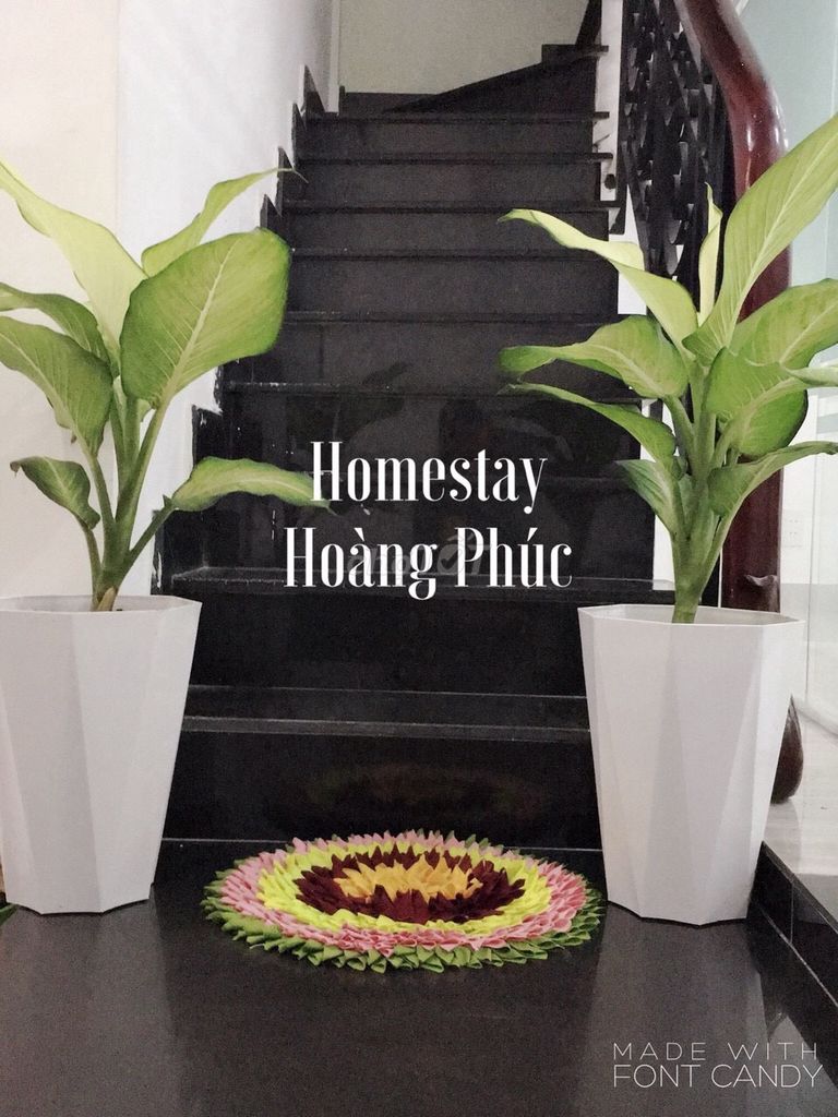 Phòng trọ giá rẻ tại Huỳnh Tấn Phát, Quận 7 - Chỉ từ 900K/tháng!