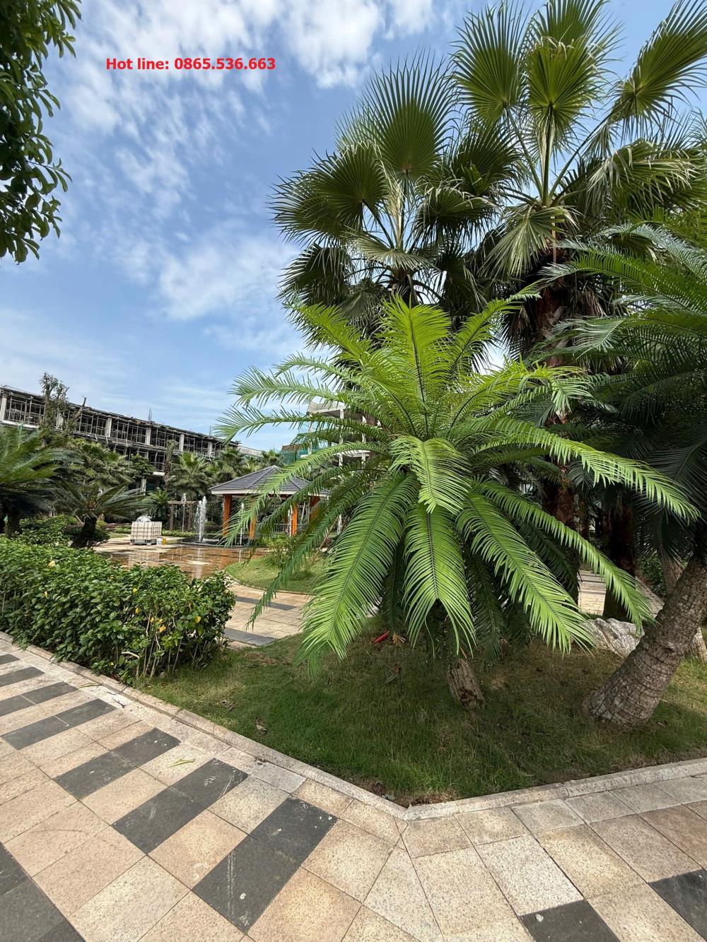 Đất nền Cổ Bi, Gia Lâm 87m² - Căn góc 3 mặt thoáng, giá tốt hấp dẫn!