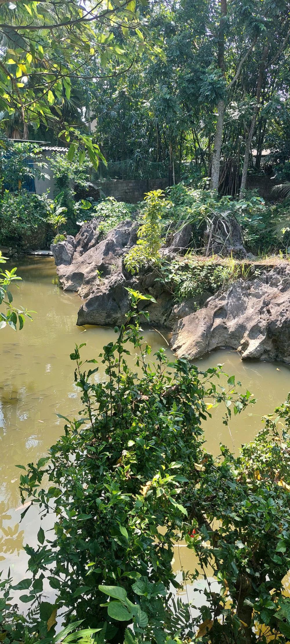 Đất nền Kim Bôi Hòa Bình 2000m² giá 1.5 tỷ - Cơ hội vàng cho nhà vườn nghỉ dưỡng!