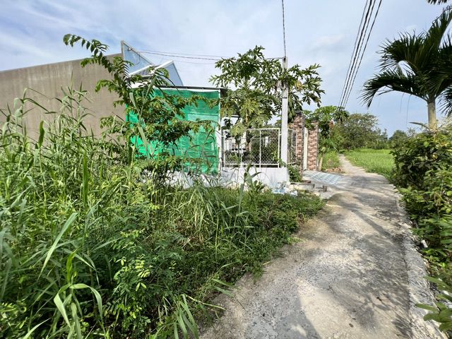 Đất thổ cư 126.8m² tại P.5 TP Tân An giá chỉ 1.6 tỷ - Cơ hội đầu tư tuyệt vời!