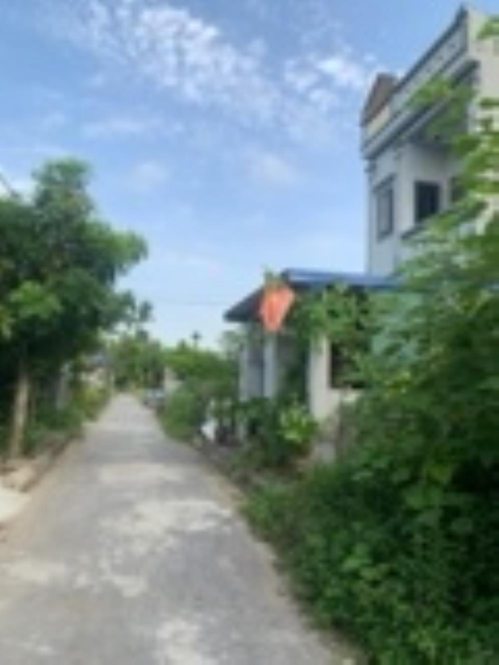 Đất phân lô Vĩnh Khê An Dương Hải Phòng 125m² giá chỉ 3.2 tỷ - Cơ hội đầu tư hấp dẫn!