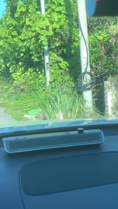 Đất mặt đường 18A, Đông Mai, Uông Bí 82m² giá chỉ 1.23 tỷ - Cơ hội đầu tư vàng!