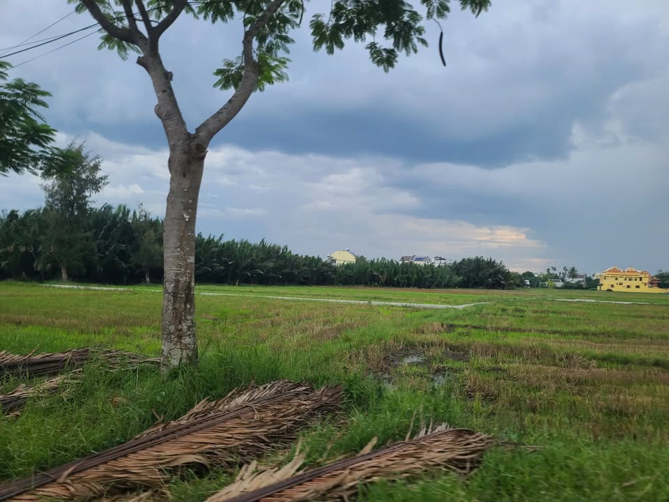 Đất nền Cẩm Thanh Hội An 317,8m² giá 7 tỷ - View lúa hiếm có