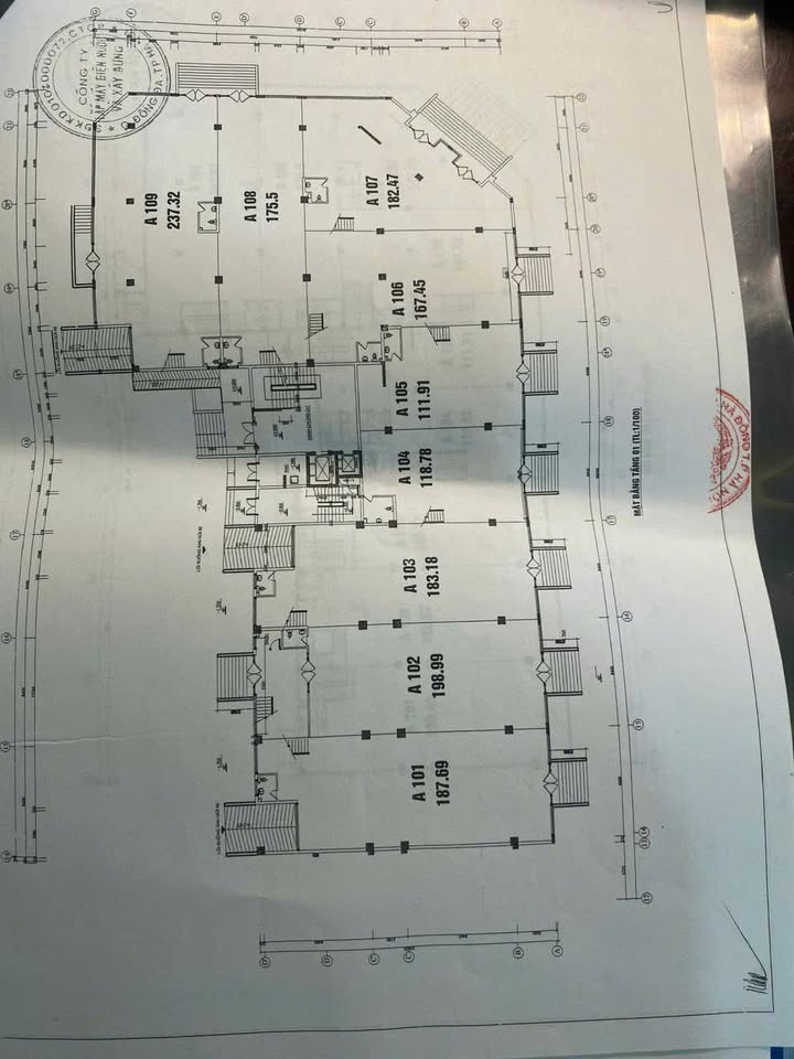 Shophouse Tòa D5 Cầu Giấy 391m² giá 65 tỷ - Đầu tư sinh lời ngay!