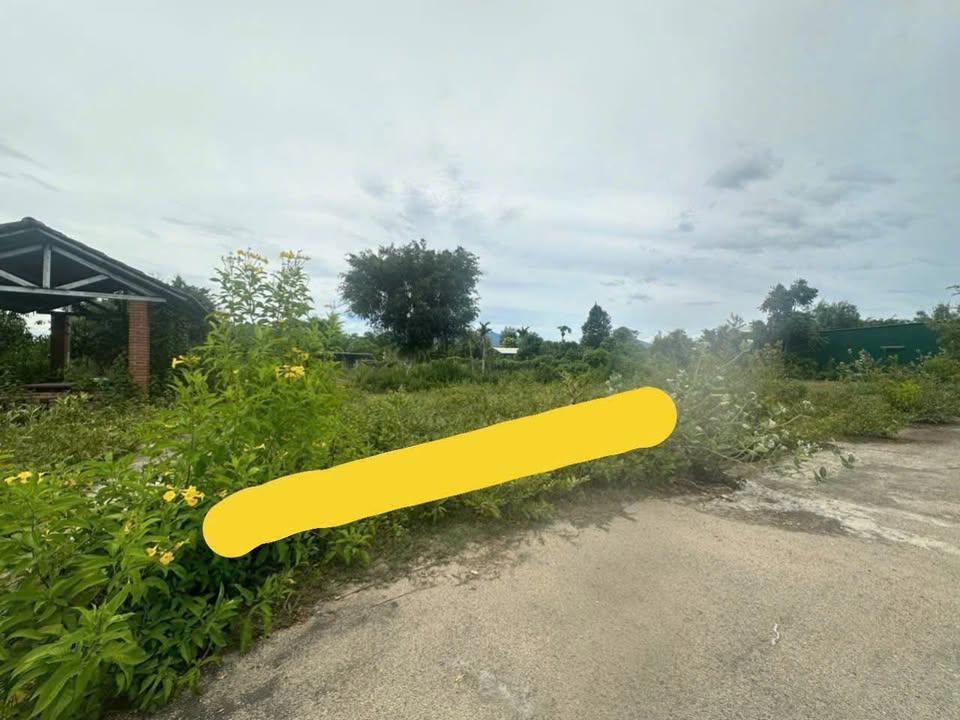 Đất Diên Hoà, Diên Khánh 91.4m² giá 700 triệu - Hướng Nam, Đường bê tông thuận tiện!