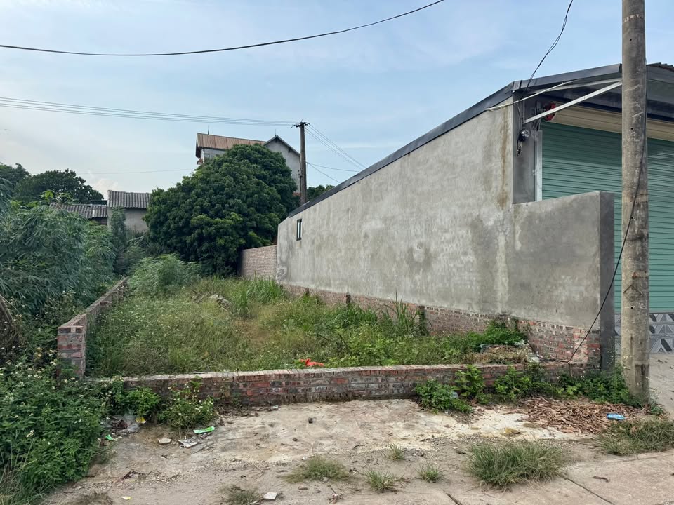 Đất nền kinh doanh Minh Phú Sóc Sơn 150m² giá chỉ 450 triệu - Mặt đường nhựa kinh doanh sầm uất!