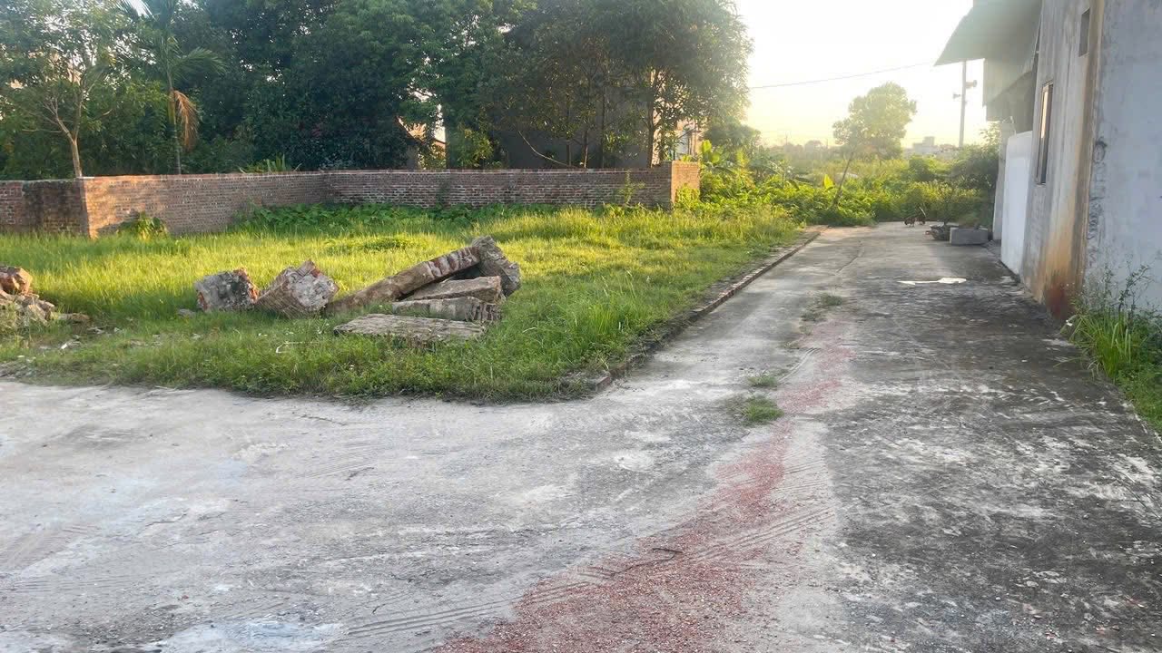 Đất lô góc 58m² tại Quang Tiến - Sóc Sơn giá chỉ 1 tỷ - Chính chủ bán gấp!