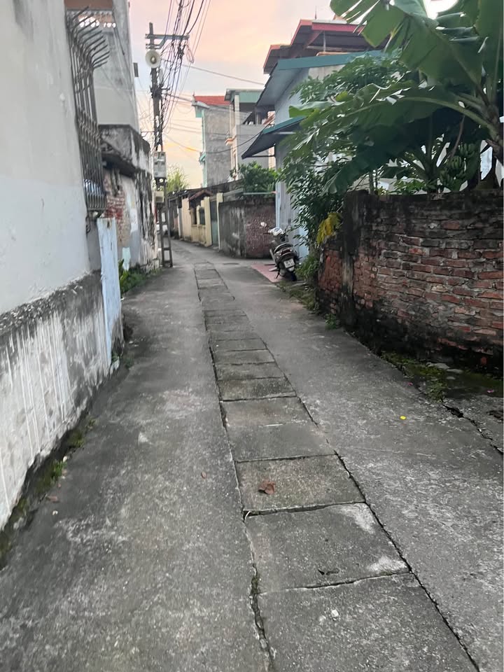 Đất nền Đặng Xá 40m² giá 3.1 tỷ - Mặt tiền thoáng mát, giao thông thuận lợi!