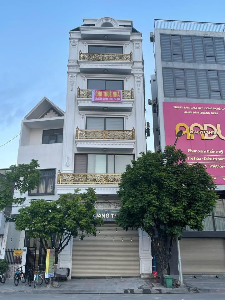 Cho thuê mặt bằng kinh doanh tại Cẩm Phả 280m² - Vị trí đắc địa, sẵn sàng hoạt động!