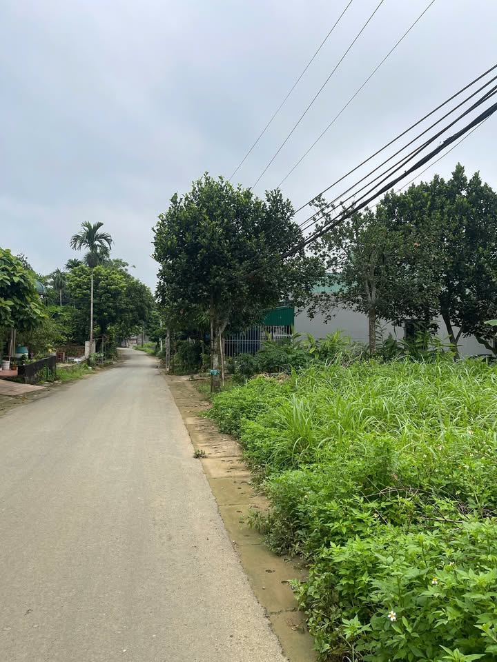 Đất nền Thống Nhất, Hòa Bình 348m² giá 2 tỷ - Nở hậu lộc phát, view đẹp!