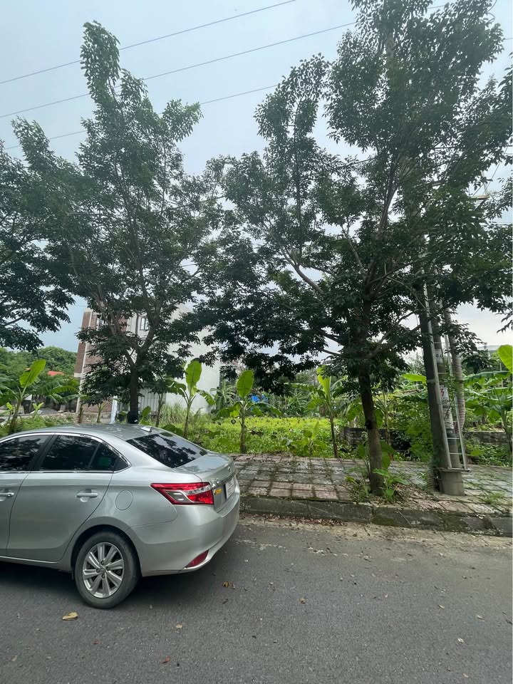 Đất nền chính chủ tại phường Hoa Lư, Ninh Bình 80m² - Sổ đỏ sang tên nhanh gọn!