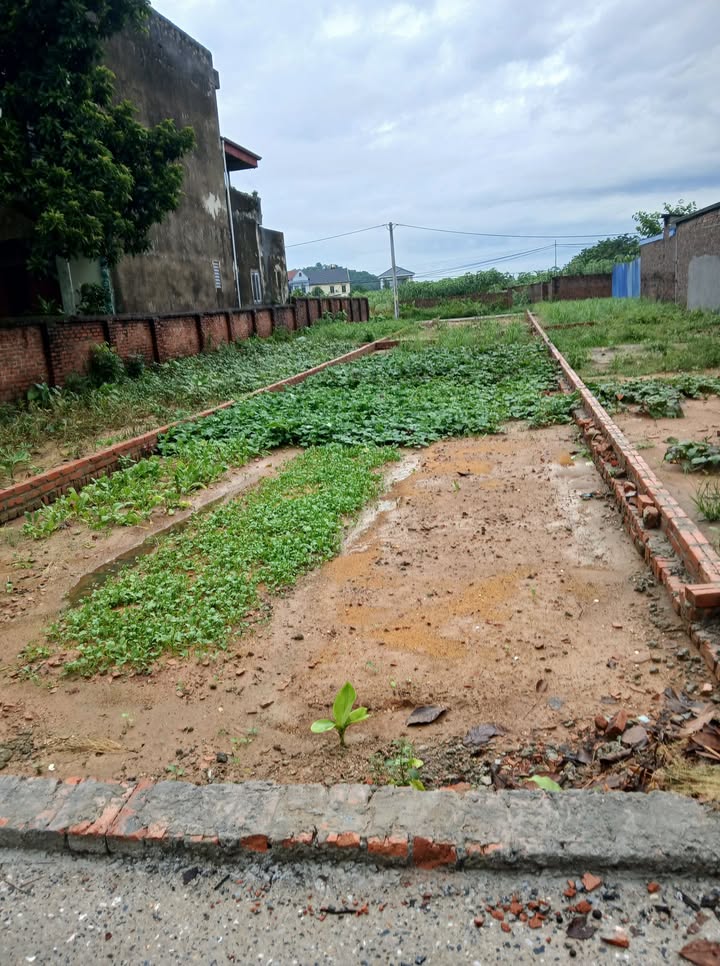 Đất nền Tân Minh, Sóc Sơn 103m² - Tiềm năng đầu tư lớn!