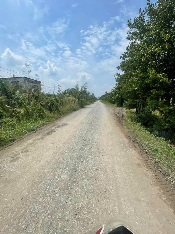 Đất nền Long Định, Bình Đại 300m² giá 790 triệu - Sổ đỏ chính chủ!