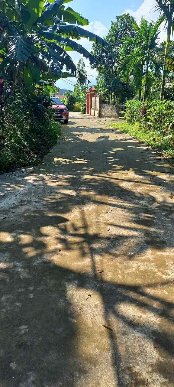 Đất nền 161m² tại xã Mỹ Lung, Phú Thọ giá chỉ 200 triệu - Đầu tư sinh lời ngay!