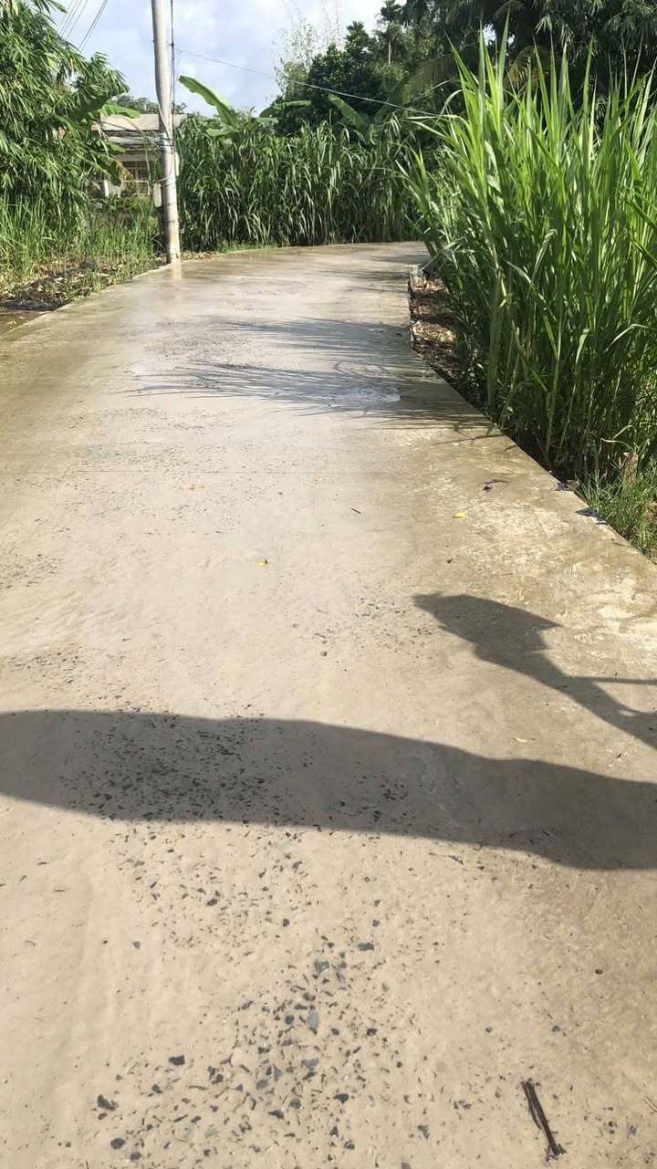 Đất nền Phường Long Hòa, Quận Bình Thủy, 106.90m² chỉ 750 triệu - Cơ hội đầu tư sinh lời!