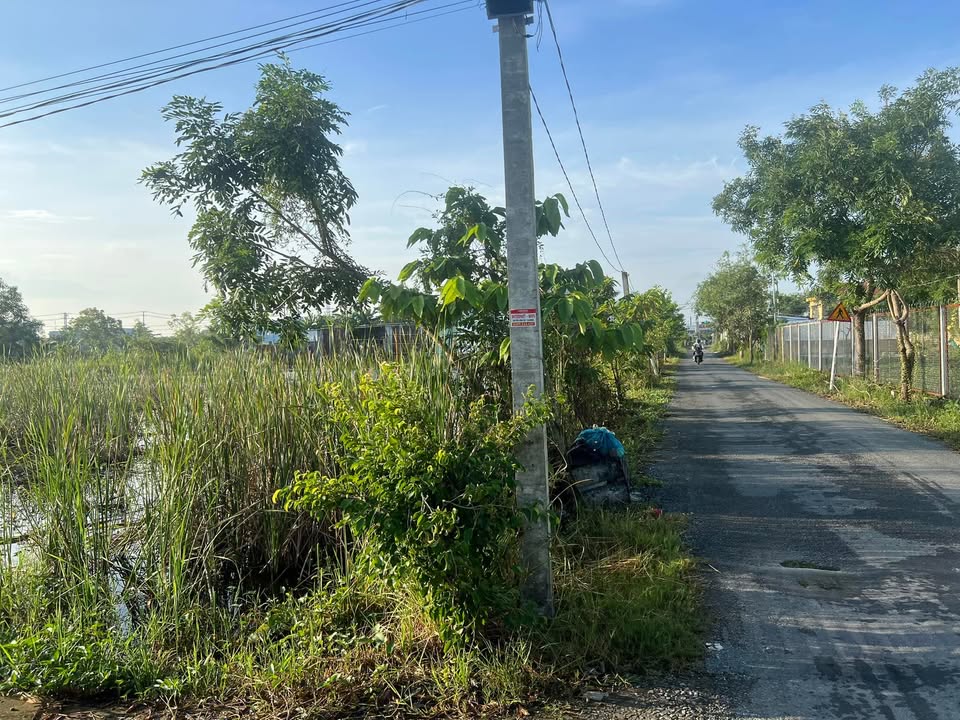 Đất lúa 3400m² mặt tiền đường nhựa 7m tại Cần Giuộc - Long An, giá 2.5 tỷ - Thương lượng ngay!