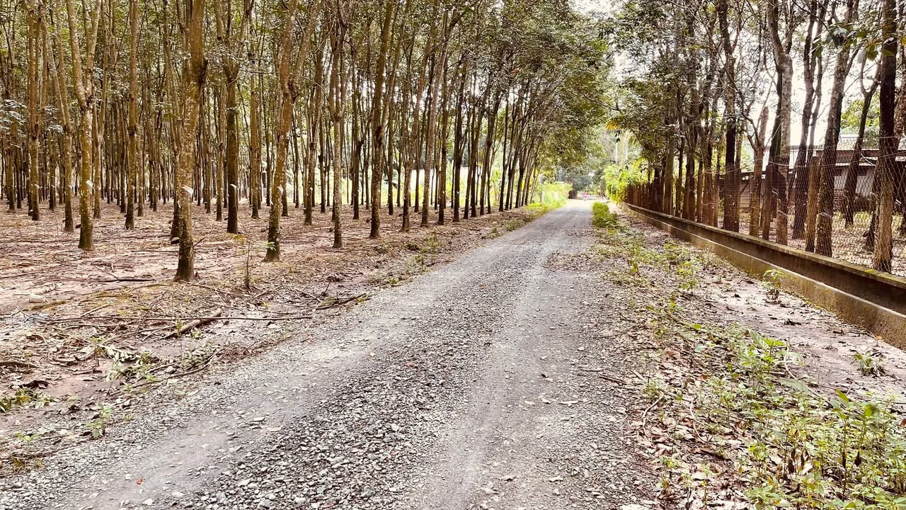 Đất nền Vĩnh Tân Tân Uyên 335m² giá 900 triệu - Cơ hội đầu tư tuyệt vời!