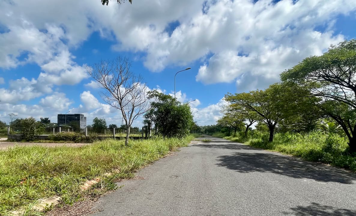 Đất nền biệt thự KDC Daresco Đức Hòa 250m² giá 2.5 tỷ - Tiềm năng sinh lời cao!