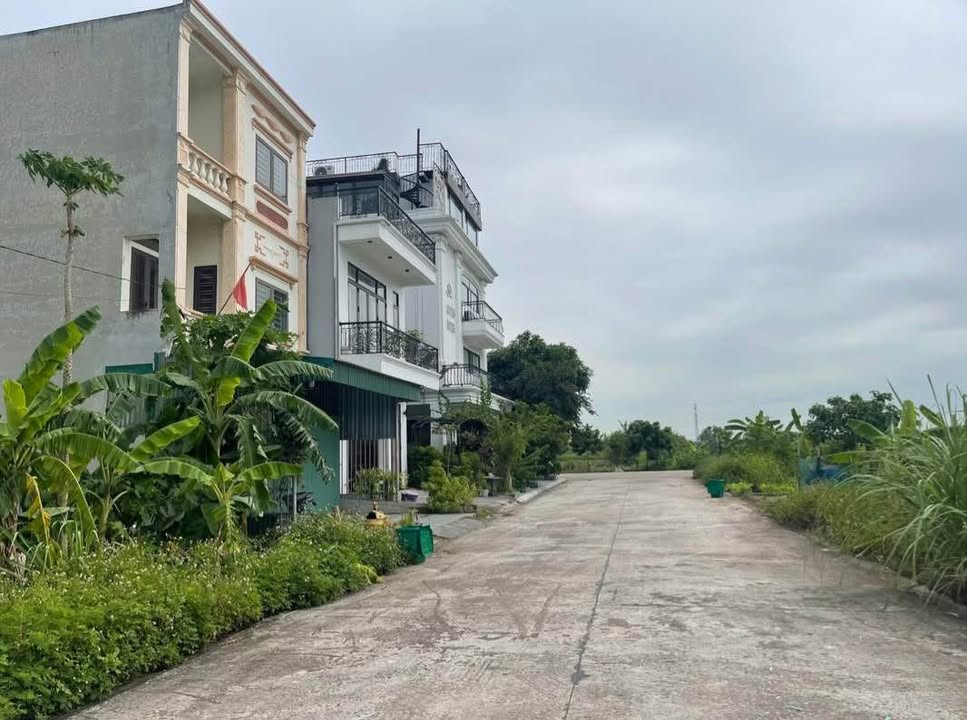 Đất nền Ninh Thắng 342m² giá thỏa thuận - Hàng hiếm mặt tiền 19m!