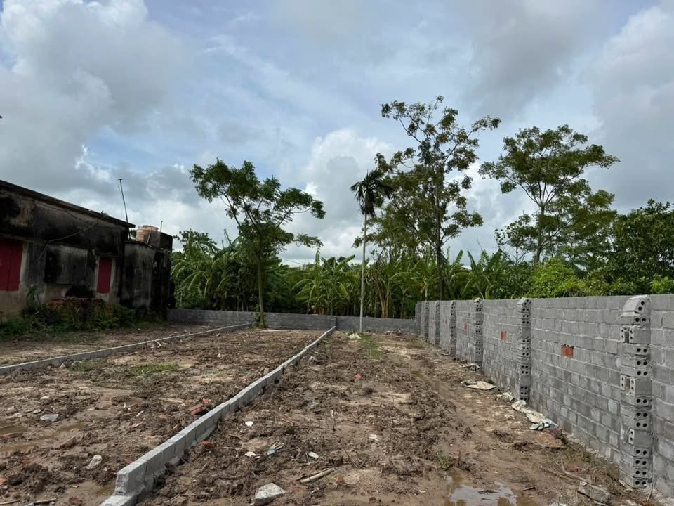 Đất nền Thái Hưng Thái Thụy 94m² - Đường ô tô vào tận đất!