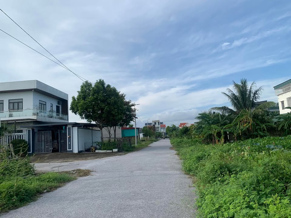 Đất nền Tân Phong 100m² giá 1.4 tỷ - Chính chủ bán nhanh!