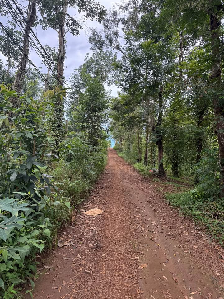 Đất thổ cư Nhân Cơ 36.000m² giá 750 triệu - Vị trí mặt đường thuận lợi!