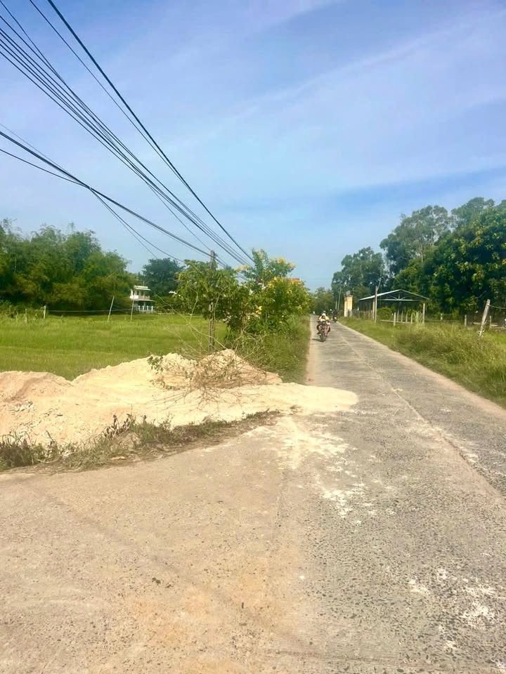 Đất tại An Ninh Tây, Tuy An, Phú Yên 1281m² - Đầu tư dài hạn hấp dẫn!