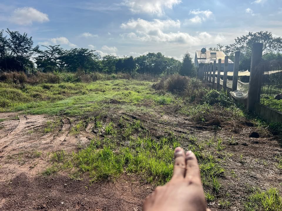 Đất thổ cư 225m² Tân Châu Tây Ninh giá thỏa thuận - Cơ hội đầu tư tuyệt vời!