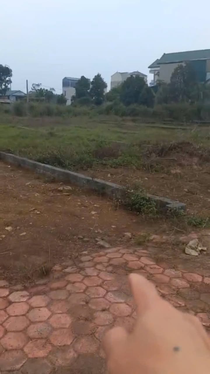 Đất 120m² tại khu tái định cư tỉnh lộ 420 - Giá tốt nhất Thạch Thất!