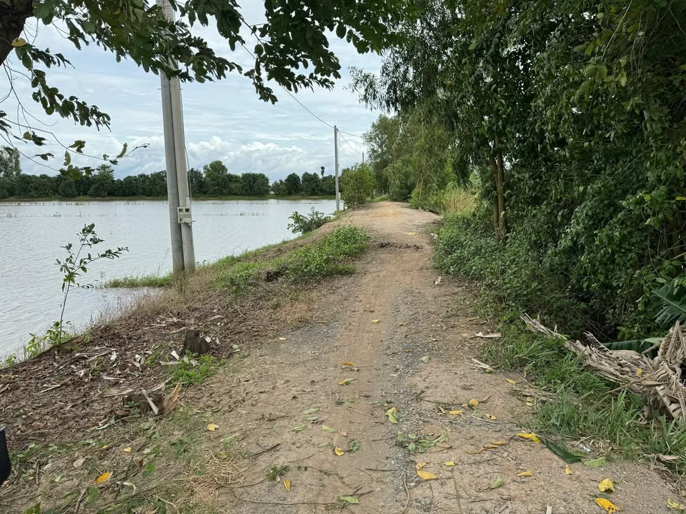 Đất nền Nhị Mỹ, Cao Lãnh 2600m² giá 620 triệu - Cơ hội đầu tư hấp dẫn!