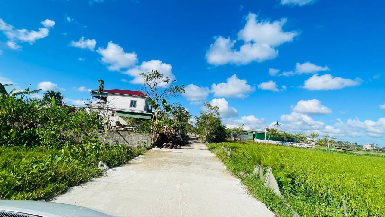 Đất Thạch Lưu Thạch Hà 160m² giá 1.1 tỷ - Đường thông rộng, cơ hội đầu tư hấp dẫn!