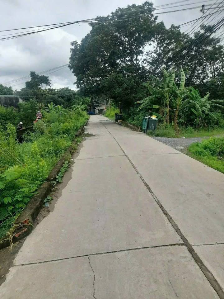 Nhà cấp 4 hẻm 11 đường Nguyễn Minh Trường, Tân An 384m² giá 4.2 tỷ - Chính chủ bán gấp!