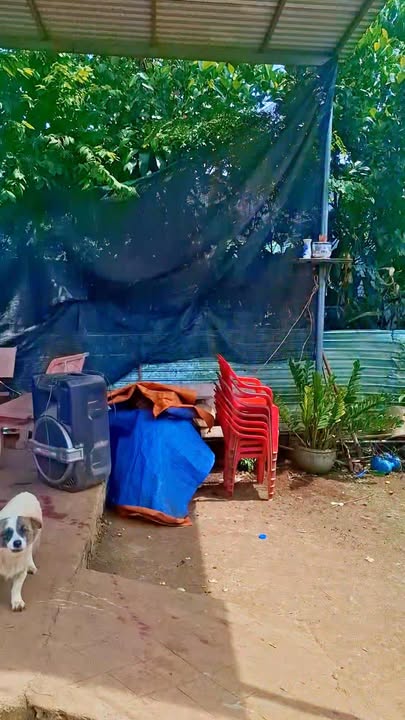 Đất thổ cư Bàu Trâm, Long Khánh 2500m² giá 3.5 tỷ - Sổ đỏ chính chủ, thương lượng tốt!