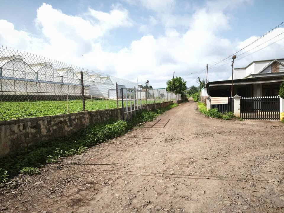 Đất nền Đức Trọng 150m² giá 1.5 tỷ - Đường chính quy hoạch 12m