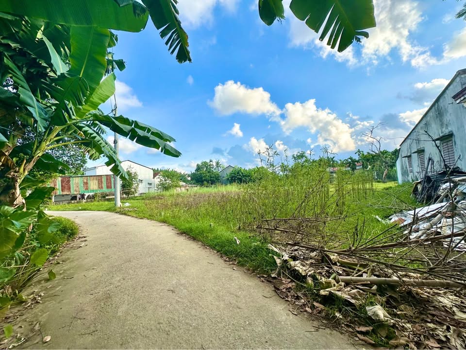 Đất Nghĩa Trung, Tư Nghĩa 115m² giá chỉ 400 triệu - Vị trí đẹp sát chợ phiên!